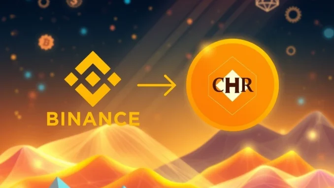 Binance Chromia Mainnet support facilitating digital asset transactions and network integration.