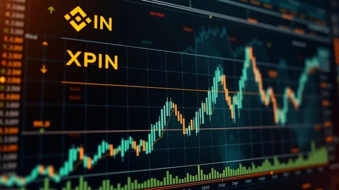 Binance XPIN Futures trading interface showing a significant market opportunity and growth potential.