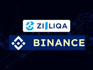 Binance ZIL suspension for Zilliqa network upgrade, illustrating the temporary halt of deposits and withdrawals for users.