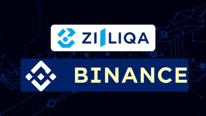 Binance ZIL suspension for Zilliqa network upgrade, illustrating the temporary halt of deposits and withdrawals for users.