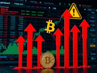 A chart showing **Bitcoin bearish signals** with red arrows pointing down, symbolizing the warning from **BTC on-chain indicators**.