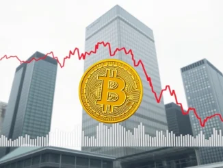 A chart illustrating a company's market capitalization falling below its Bitcoin corporate holdings value, showing a financial challenge.