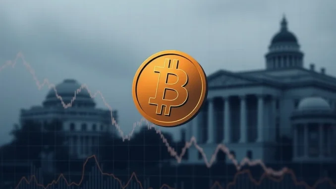 Charts showing U.S. Spot Bitcoin ETF outflows amidst market recalibration, reflecting investor sentiment.