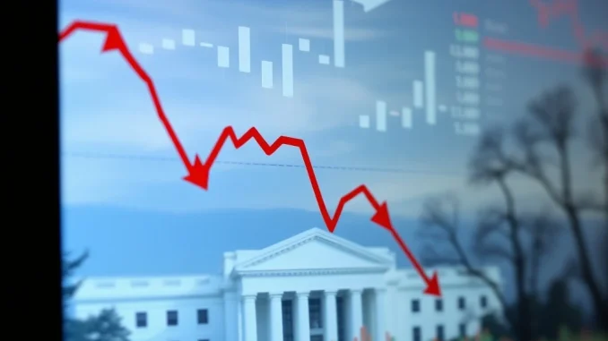 A chart showing negative delta skews and put options dominance, reflecting a bearish Bitcoin options market outlook despite the Fed rate cut impact.