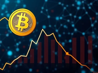 A digital chart illustrating a significant Bitcoin price drop below $109,000, conveying current market volatility.
