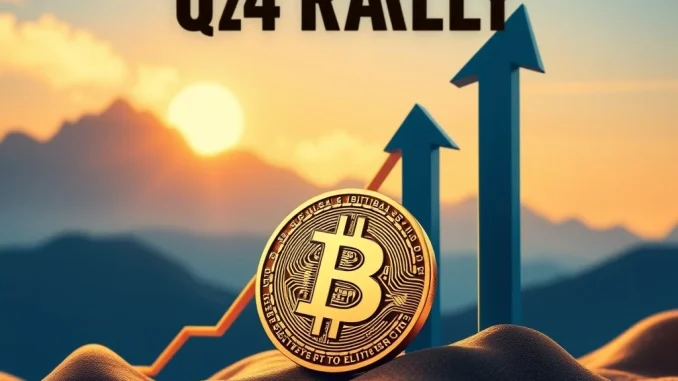 A chart showing an upward trend for Bitcoin price, symbolizing the anticipated Bitcoin rally and market optimism.