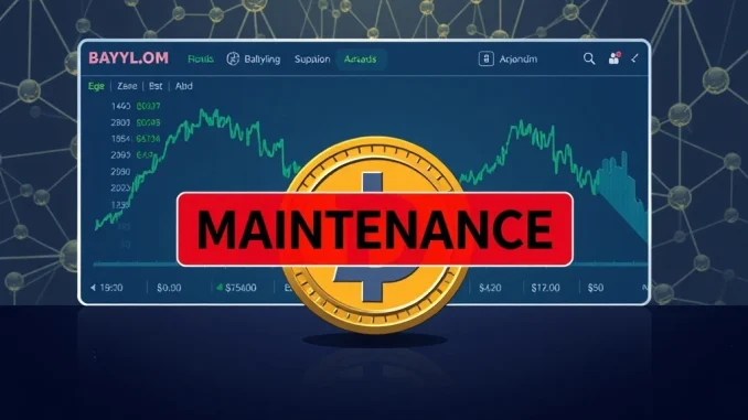 Bithumb exchange interface displaying a notice about Babylon (BABY) deposit and withdrawal suspension due to network upgrade.
