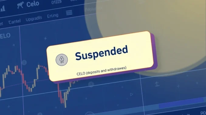 Bithumb's interface showing a notification for Celo network upgrade suspension, indicating temporary halt of CELO deposits and withdrawals.