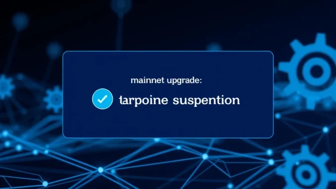 Bithumb's announcement of Story (IP) deposits and withdrawals suspension for a mainnet upgrade, emphasizing the temporary halt.