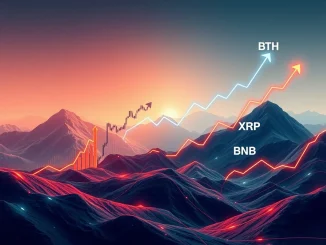 Charts showing diverging trends in crypto market analysis, with BTC and SOL futures open interest decreasing, while ETH and XRP futures open interest rises.