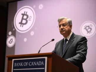 Bank of Canada official discusses the crucial need for federal stablecoin regulation to protect financial stability.