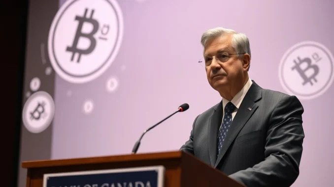 Bank of Canada official discusses the crucial need for federal stablecoin regulation to protect financial stability.