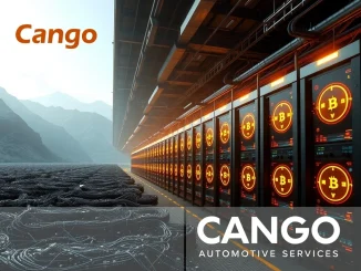 Cango Bitcoin mining facility successfully processing transactions, illustrating the company's significant digital asset accumulation.