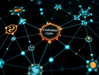 Visualizing the complex network of Cumberland crypto market maker operations and token flows, including WLFI and TRUMP.