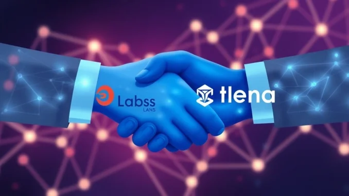 Easy Labs' strategic crypto investment in Thena DEX, symbolizing growth for the BNB Chain ecosystem.