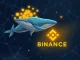 A chart showing a significant ENA whale deposit to Binance, illustrating its potential impact on crypto trading.