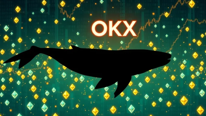 Ethereum Whale Accumulation: $65.8M Move Sparks Market Buzz An Ethereum whale accumulation visual, showing a large whale moving through digital ETH symbols, representing significant crypto investment.