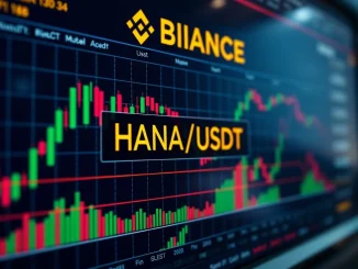 Binance's trading platform displaying the HANA perpetual futures contract, symbolizing new opportunities for leverage trading.