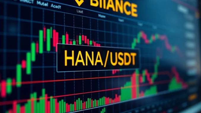HANA Perpetual Futures: Binance Unveils Exciting New Contract Binance's trading platform displaying the HANA perpetual futures contract, symbolizing new opportunities for leverage trading.