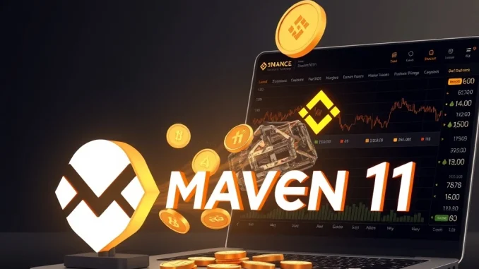 Visual representation of Maven 11 ENA withdrawal from Binance, highlighting significant on-chain activity.