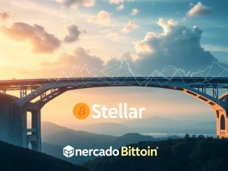 Mercado Bitcoin's strategic move to issue $200M in tokenized products on the Stellar network.