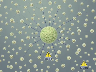 Visualizing a massive Sybil attack on MYX tokens, showing multiple fraudulent addresses claiming a large sum.