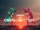 ONDO vs SEI tokens battling for altcoin dominance in the 2025 bull cycle, representing the clash between DeFi protocols and crypto derivatives.