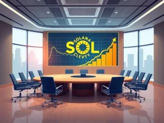 Visualizing the substantial growth of Solana corporate holdings, demonstrating strategic digital asset investment and market confidence.