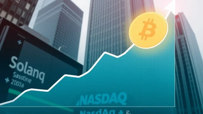 Strategic Solana Investment: DeFi Development Boosts SOL Holdings to Over 2 Million Chart showing the growth of Solana investment as DeFi Development (DFDV) strategically boosts its SOL holdings.