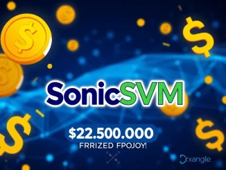 SonicSVM's exciting $25,000 marketing campaign on Xangle, featuring airdrops and staking rewards.