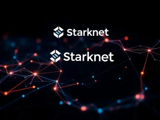 Starknet network status screen showing a halted block production, symbolizing the recent 20-minute blockchain halt.