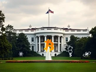 White House officials discuss a **strategic BTC reserve** as a crucial crypto policy objective, shaping future digital asset legislation.