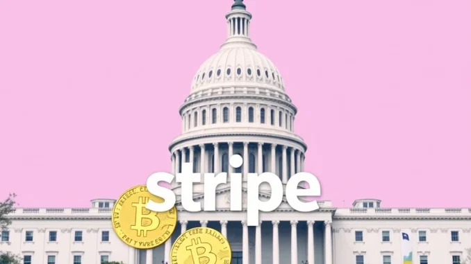 Stripe's strategic pursuit of a US charter for stablecoin issuance, symbolizing compliance and innovation in digital finance.