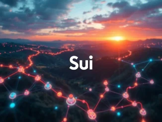 Sui Party Objects feature visualizing collaborative blockchain technology and Web3 development on the Sui mainnet.
