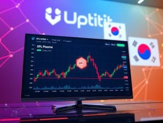 Upbit crypto exchange platform interface showing the Plasma (XPL) trading pair, symbolizing a new token listing and market opportunity.