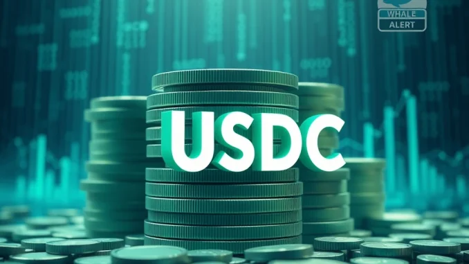 Digital representation of 250 million USDC being minted, highlighting its impact on the stablecoin market.