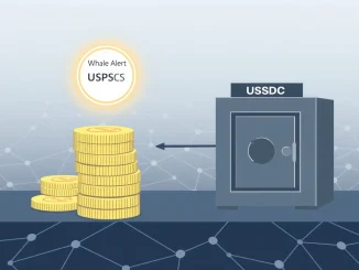Visualizing a significant USDC transfer of 350 million from Zero Hash to the USDC Treasury, highlighting a major stablecoin movement.