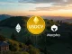 Illustrating USDCV stablecoin's integration with leading DeFi platforms like Uniswap and Morpho, bridging traditional finance.