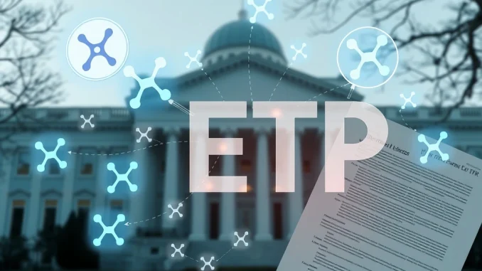 Diagram illustrating the unique structure of the Rex-Osprey XRP ETF, showing direct spot XRP holdings and other global XRP ETFs, highlighting its pathway to SEC approval.