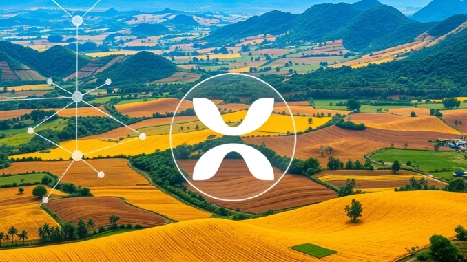 Digital assets representing XRP Ledger-powered tokenized agribusiness debt flowing into Brazilian farmlands, symbolizing financial innovation and growth.