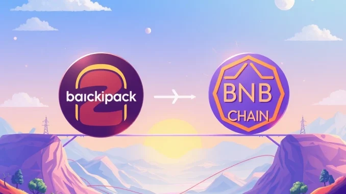 Backpack exchange logo connecting with BNB Chain, symbolizing enhanced interoperability and expansion for crypto users.