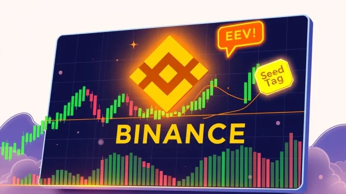 Binance EUL Listing: Exchange Unveils Exciting Euler (EUL) Trading Binance EUL listing announcement with the Euler token symbol, signifying its new availability for trading and the associated Seed Tag risks.