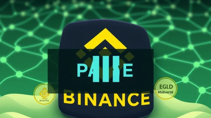 A visual representation of Binance temporarily pausing OM crypto and EGLD withdrawal services, highlighting the critical nature of the Binance deposits suspension.