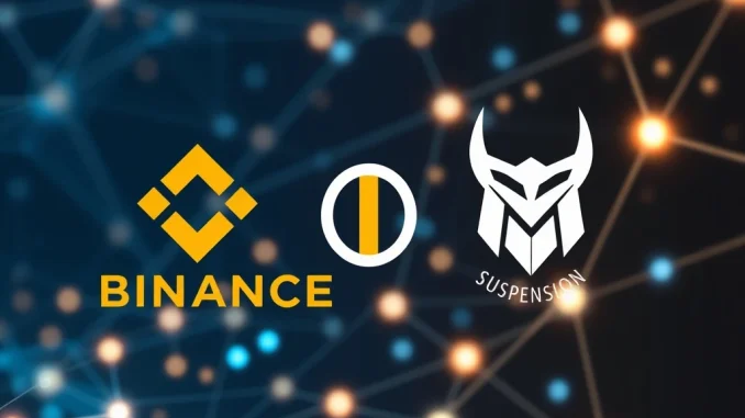 Illustration of Binance and THORChain logos with a pause symbol, signifying the Binance RUNE suspension for network upgrade.