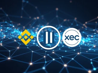 Binance XEC suspension icon indicating a temporary halt for an eCash network upgrade, crucial for users.