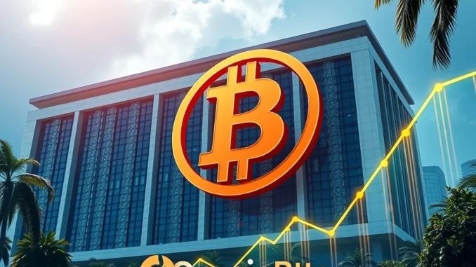 Visualizing OranjeBTC's significant Bitcoin investment listing on the Brazilian B3 exchange, symbolizing crypto market growth.