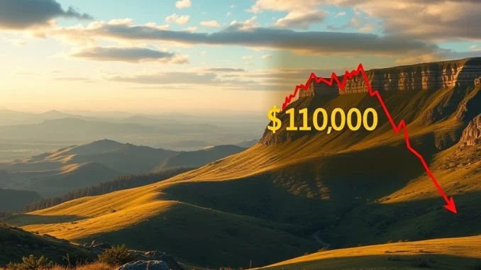 Chart showing a significant Bitcoin price drop below $109,000, indicating cryptocurrency market volatility.