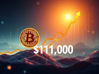 A chart illustrating the Bitcoin price surpassing the $111,000 mark, signifying a major milestone in the cryptocurrency market.