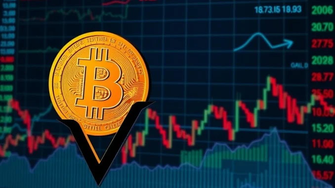 Chart showing Bitcoin price testing crucial support, highlighting rising crypto volatility and market sentiment.