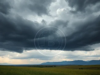 A visual representation of Bitcoin volatility amidst macroeconomic uncertainty, showing a stormy sky over a crypto chart.